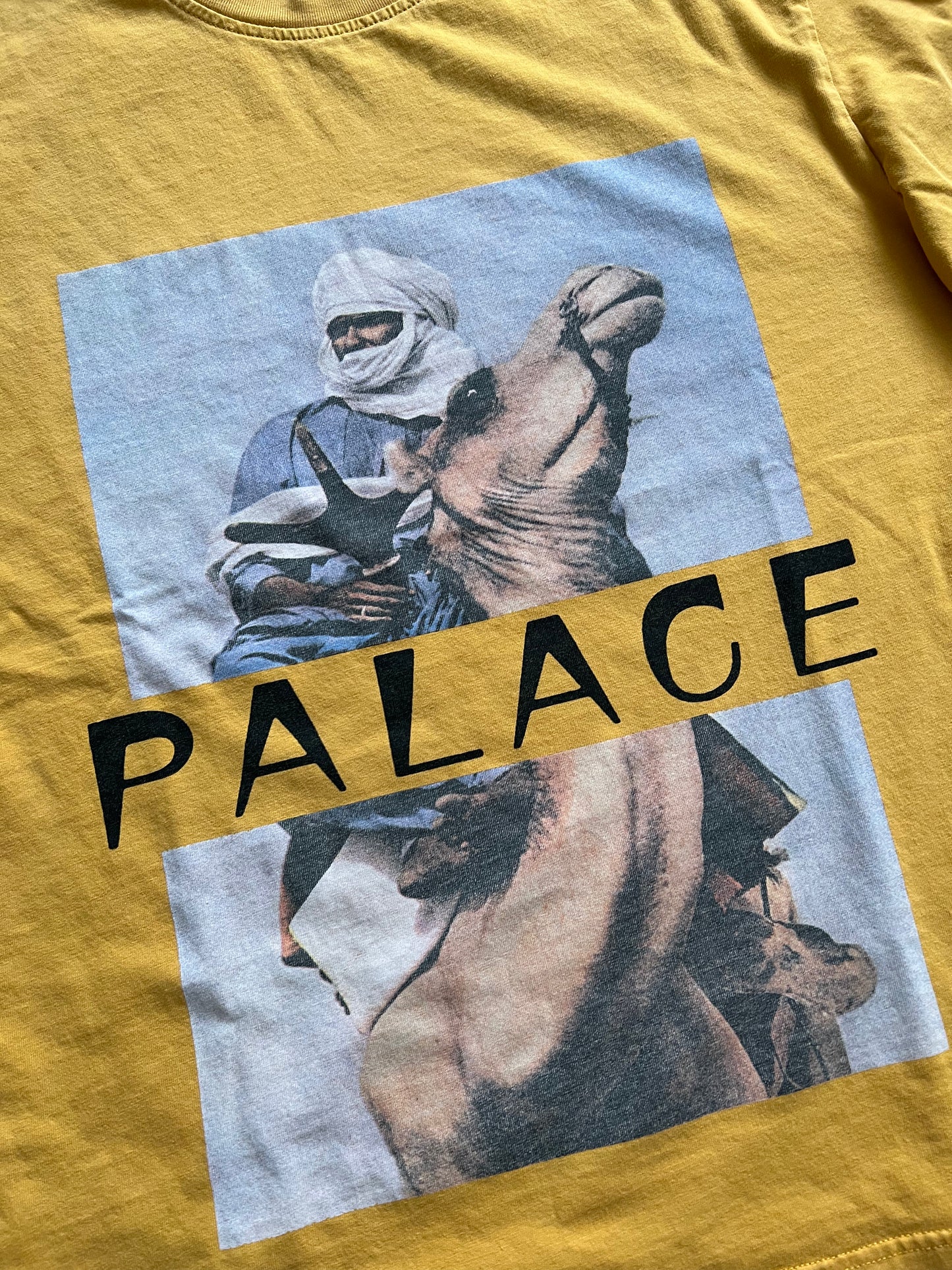 Palace Camel T-Shirt
