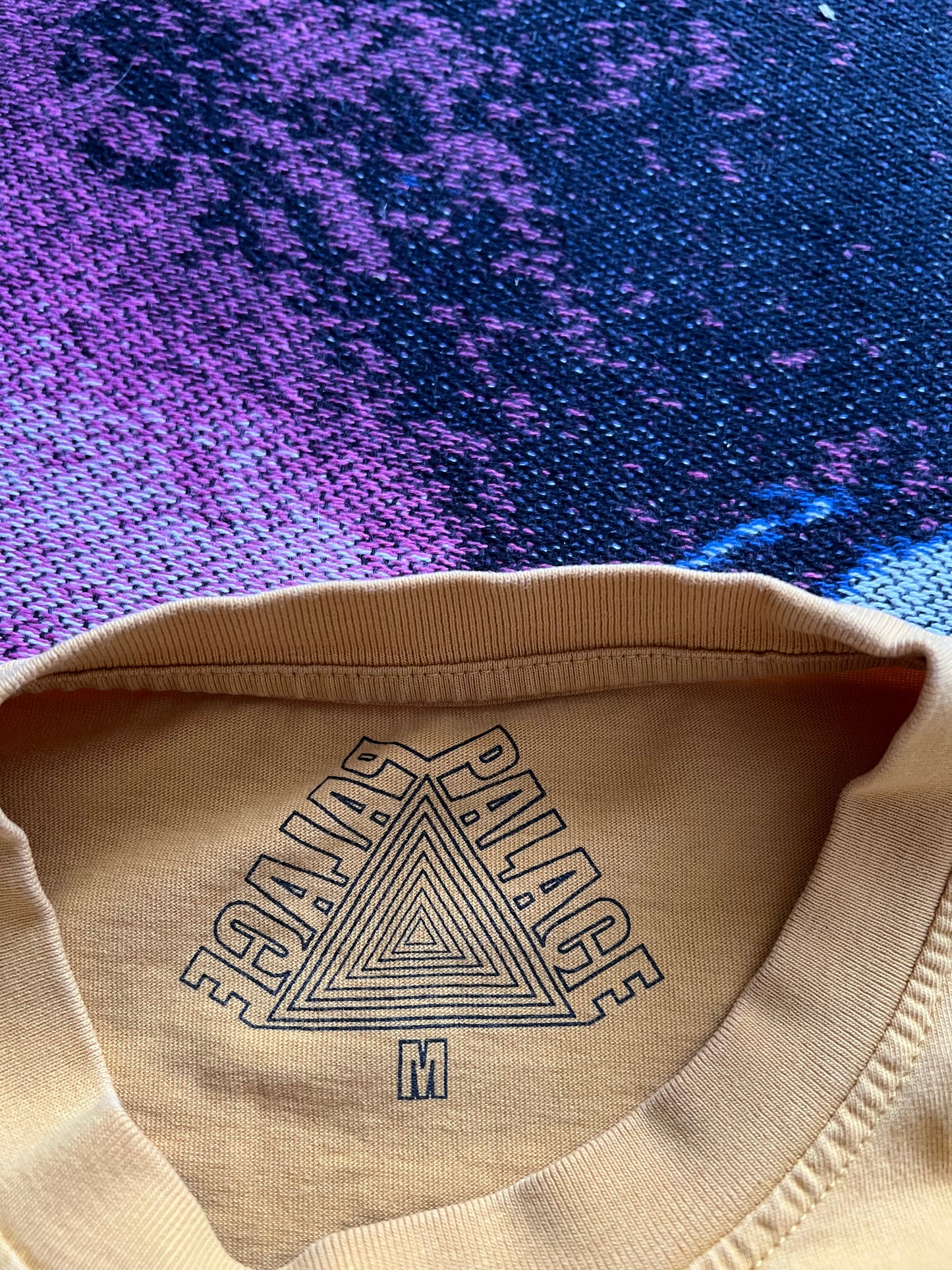 Palace Camel T-Shirt