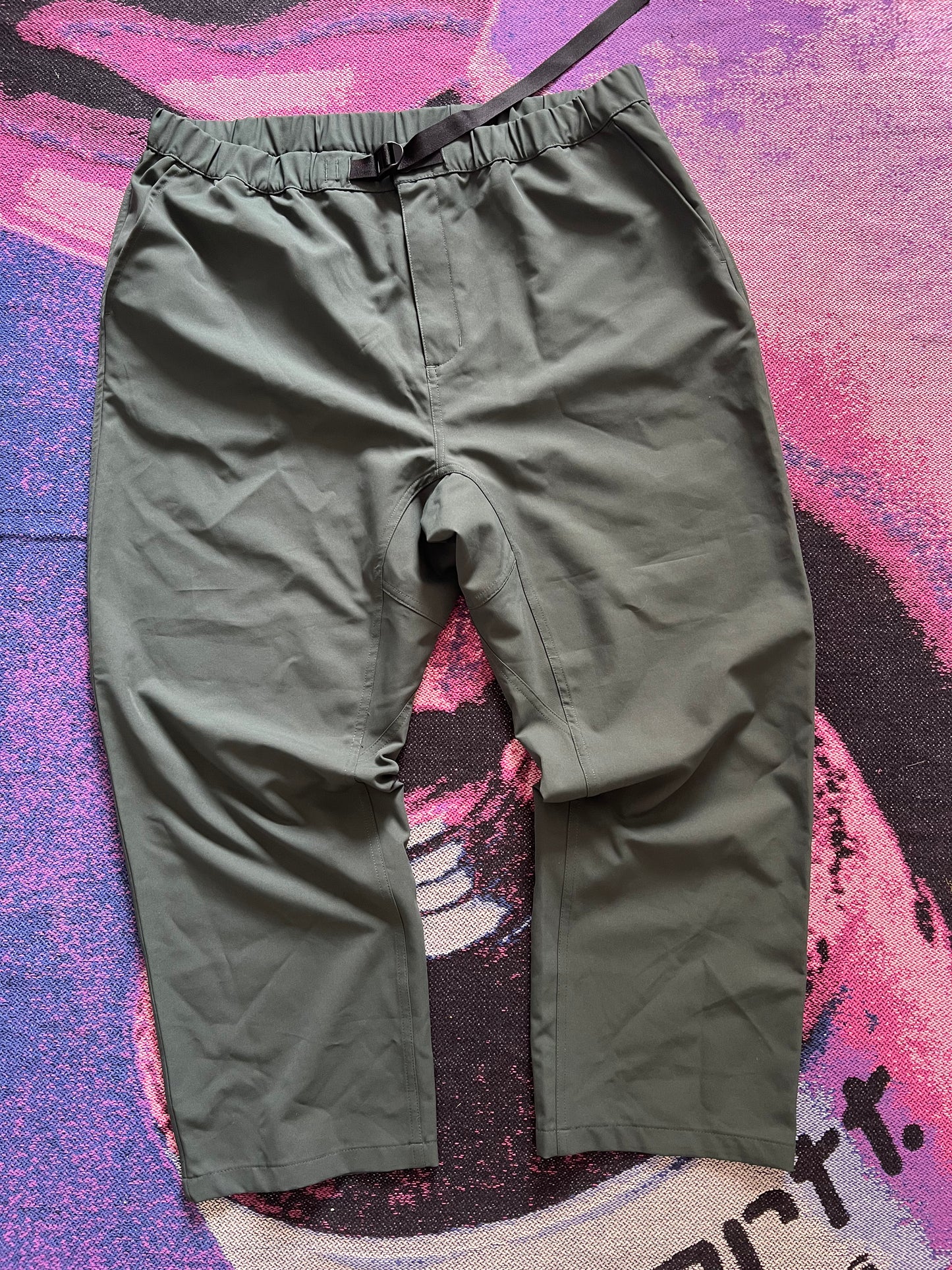 Carhartt Pants