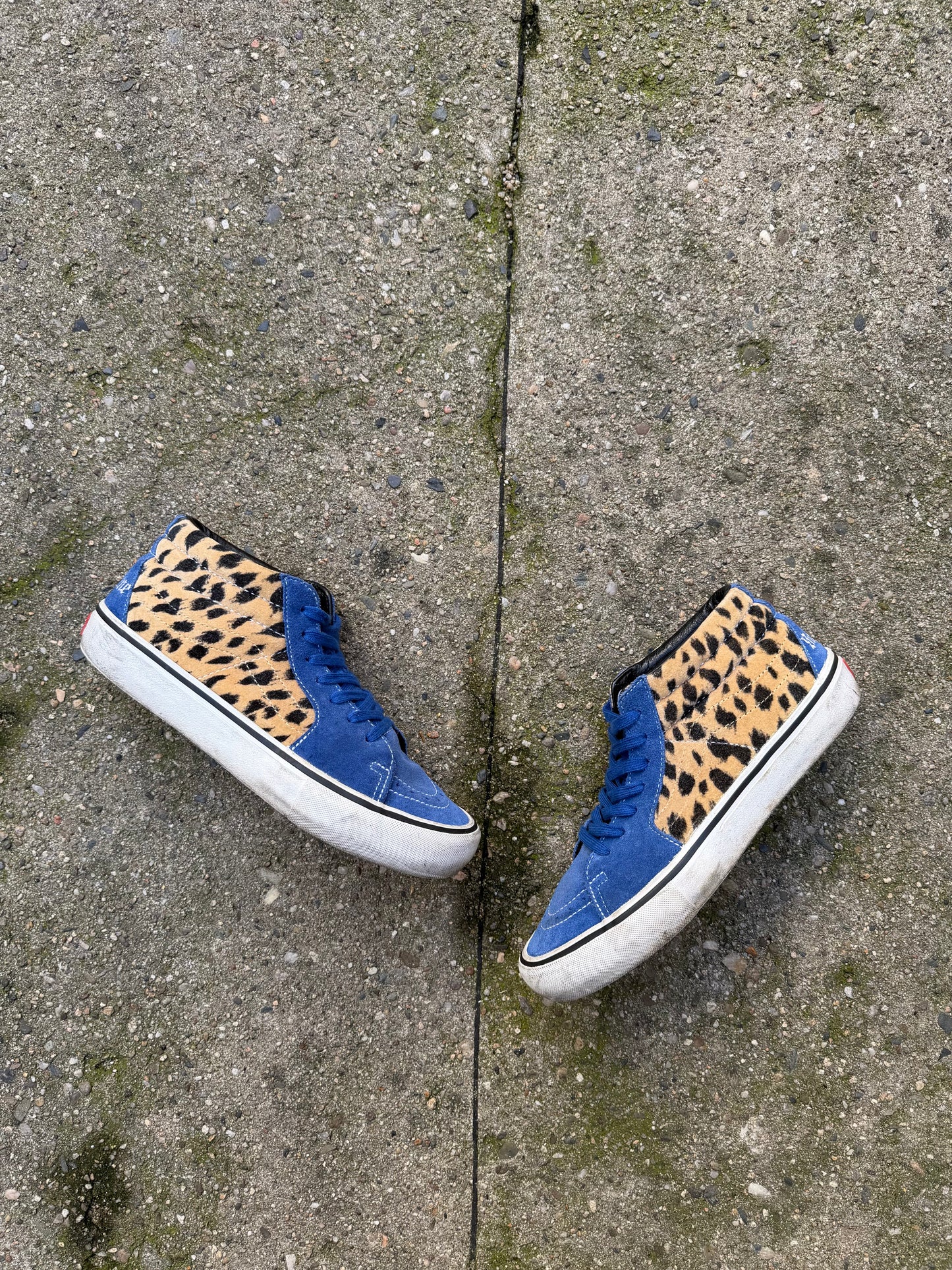 Vans x Supreme Sk8 Mid