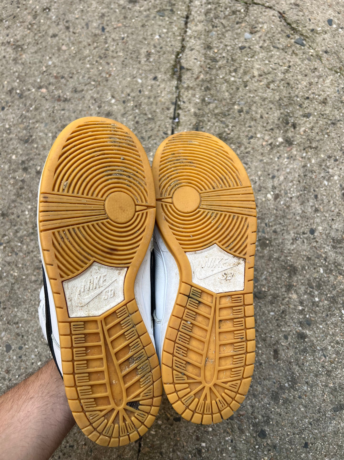 Nike SB Dunk Low White Gum