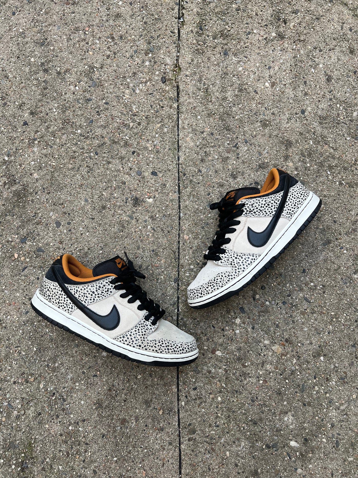 Nike SB Dunk Low Safari Olympics