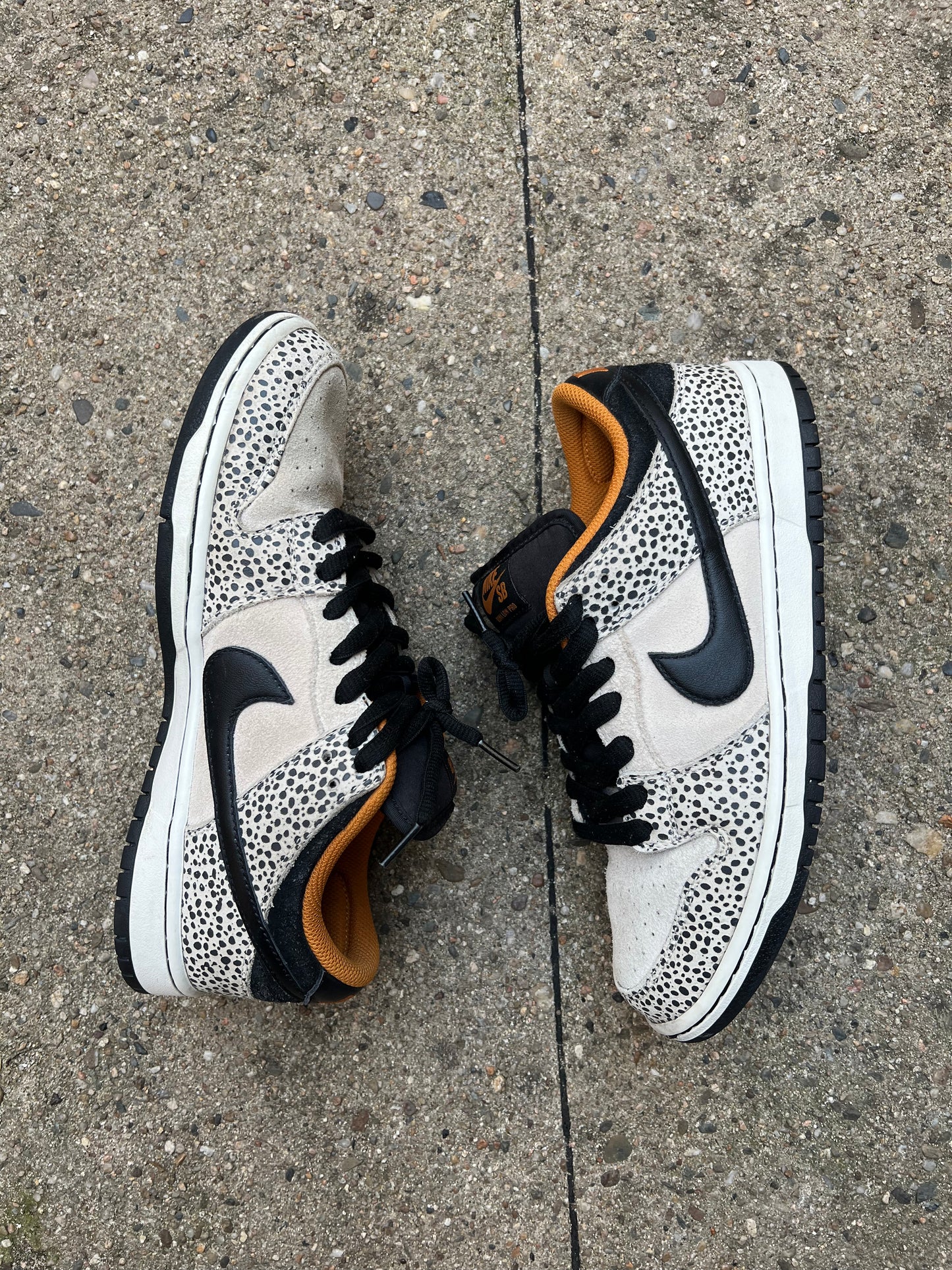 Nike SB Dunk Low Safari Olympics