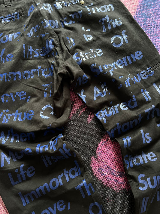 Supreme JUNYA WATANABE CDG MAN Printed Work Pant