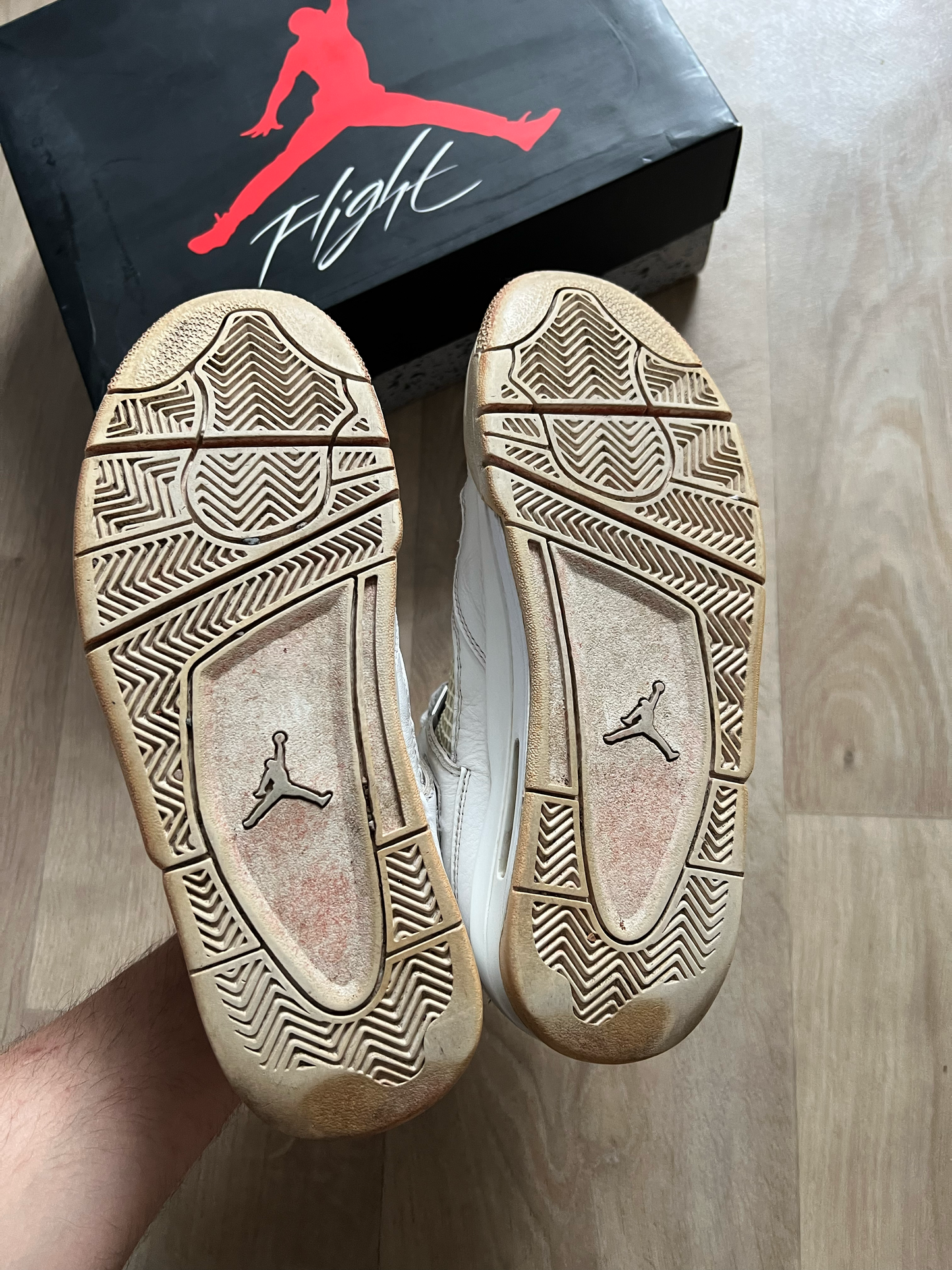 Jordan 4 Pure Money
