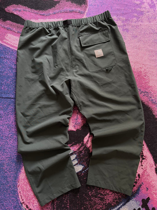 Carhartt Pants